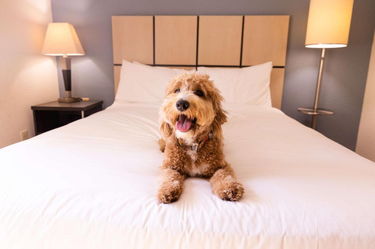Sonesta Simply Suites Chicago Libertyville Kültér fotó
